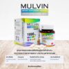 มัลวิน MULVIN